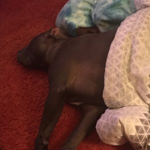 Meet your Posher, Lori